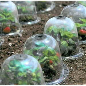 10pcs/set 10" GrowAway Reusable Plastic Greenhouse