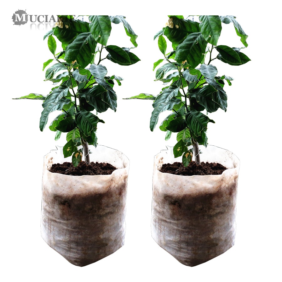 100/50PCS Seedling Plants Nursery Bags Organic Biodegradable Grow Bags Fabric Eco-friendly Ventilate Growing Planting Bags - Image 2