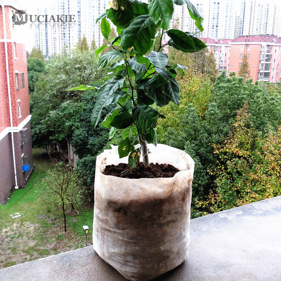 100/50PCS Seedling Plants Nursery Bags Organic Biodegradable Grow Bags Fabric Eco-friendly Ventilate Growing Planting Bags - Image 4