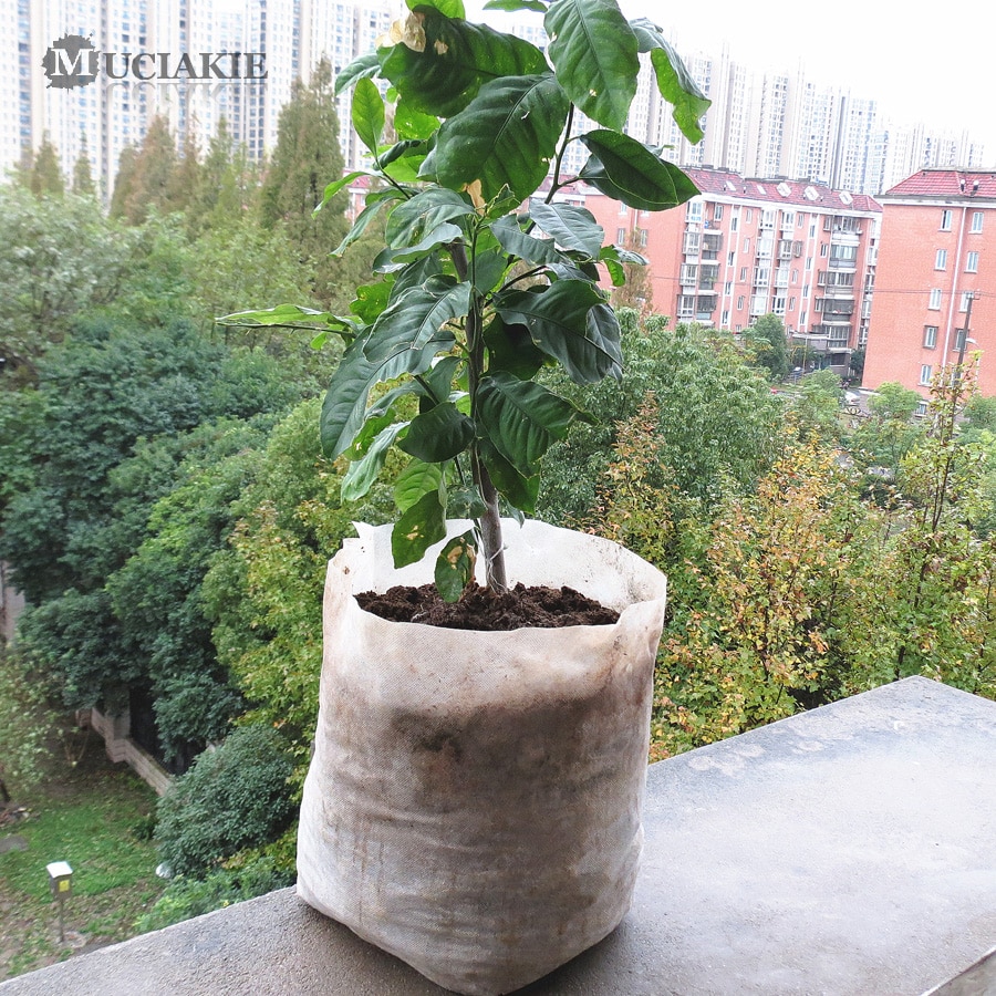 100/50PCS Seedling Plants Nursery Bags Organic Biodegradable Grow Bags Fabric Eco-friendly Ventilate Growing Planting Bags - Image 6