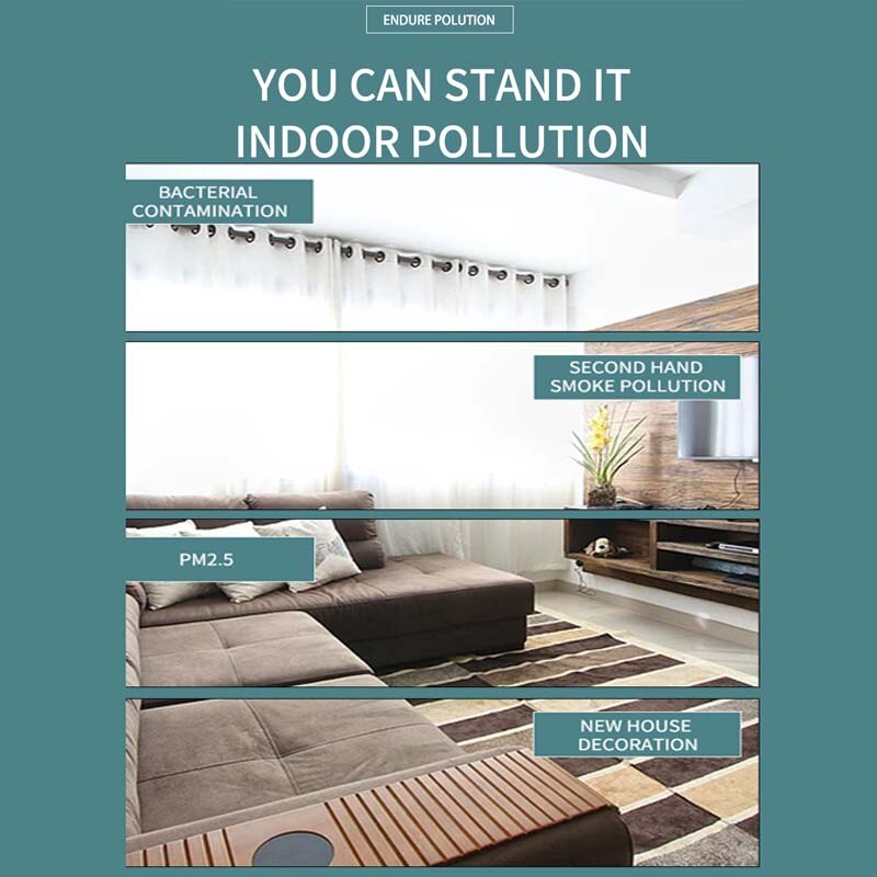 Air Purifier Cleaner for Home HEPA Filters Low Noise Desktop with True Kids Room HEPA Filter for Dust Smokers Pollen Pet Dander - Image 6